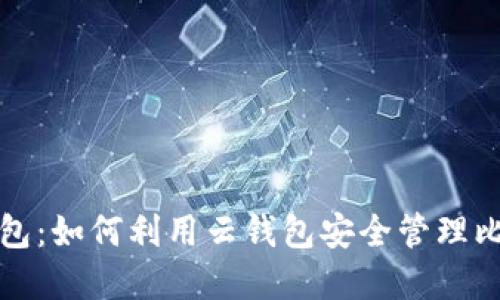 探索云钱包：如何利用云钱包安全管理比特币资产