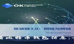 如何查看比特币钱包信息