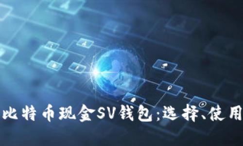 深入探讨比特币现金SV钱包：选择、使用与安全性